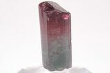 Bi-Colored Elbaite Tourmaline Crystal - Coronel Murta, Brazil #206250-3
